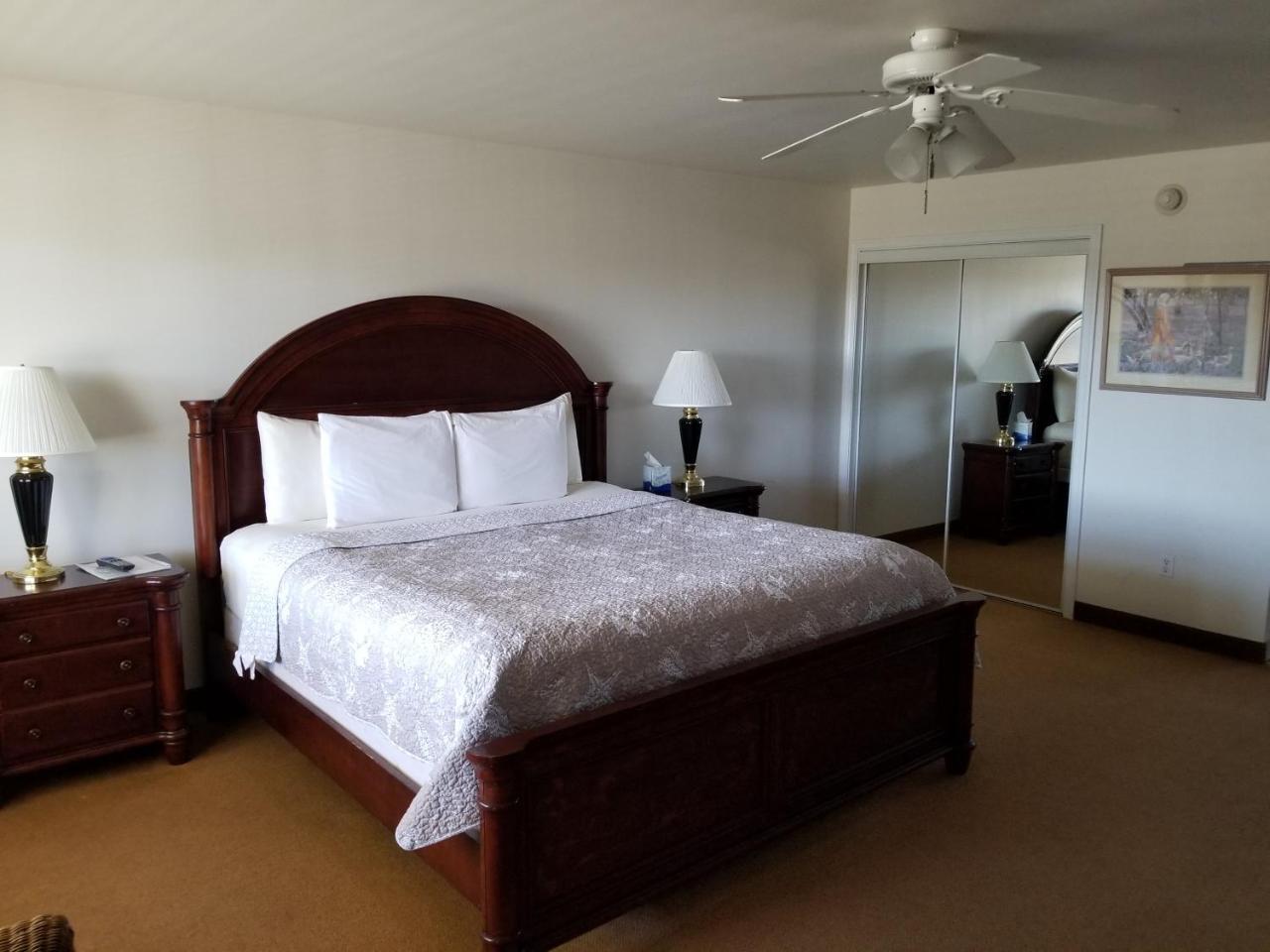 Shore Stay Suites كاب تشارليس المظهر الخارجي الصورة
